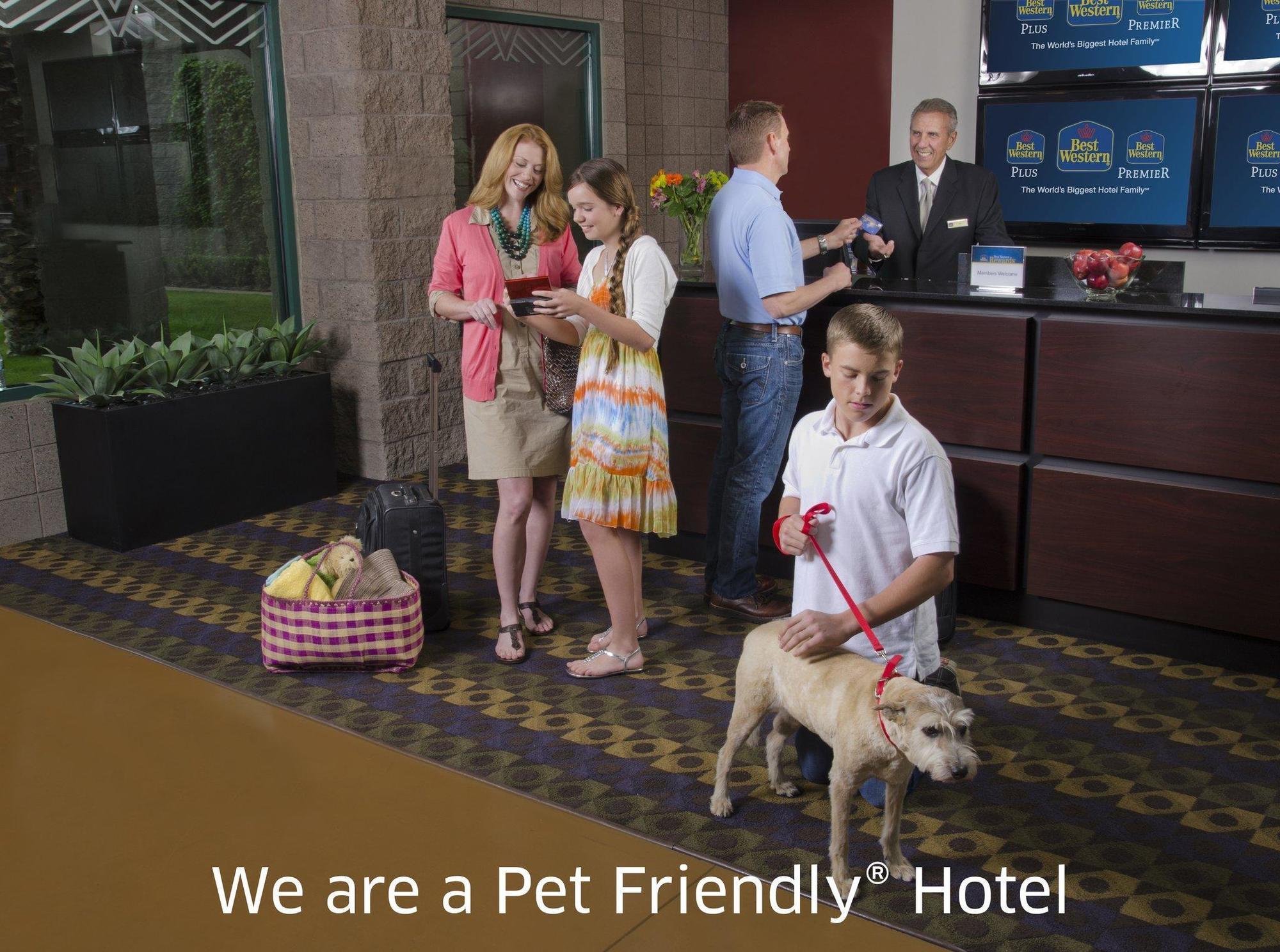 Quality Inn & Suites Phoenix Nw - Sun City Youngtown Exterior foto